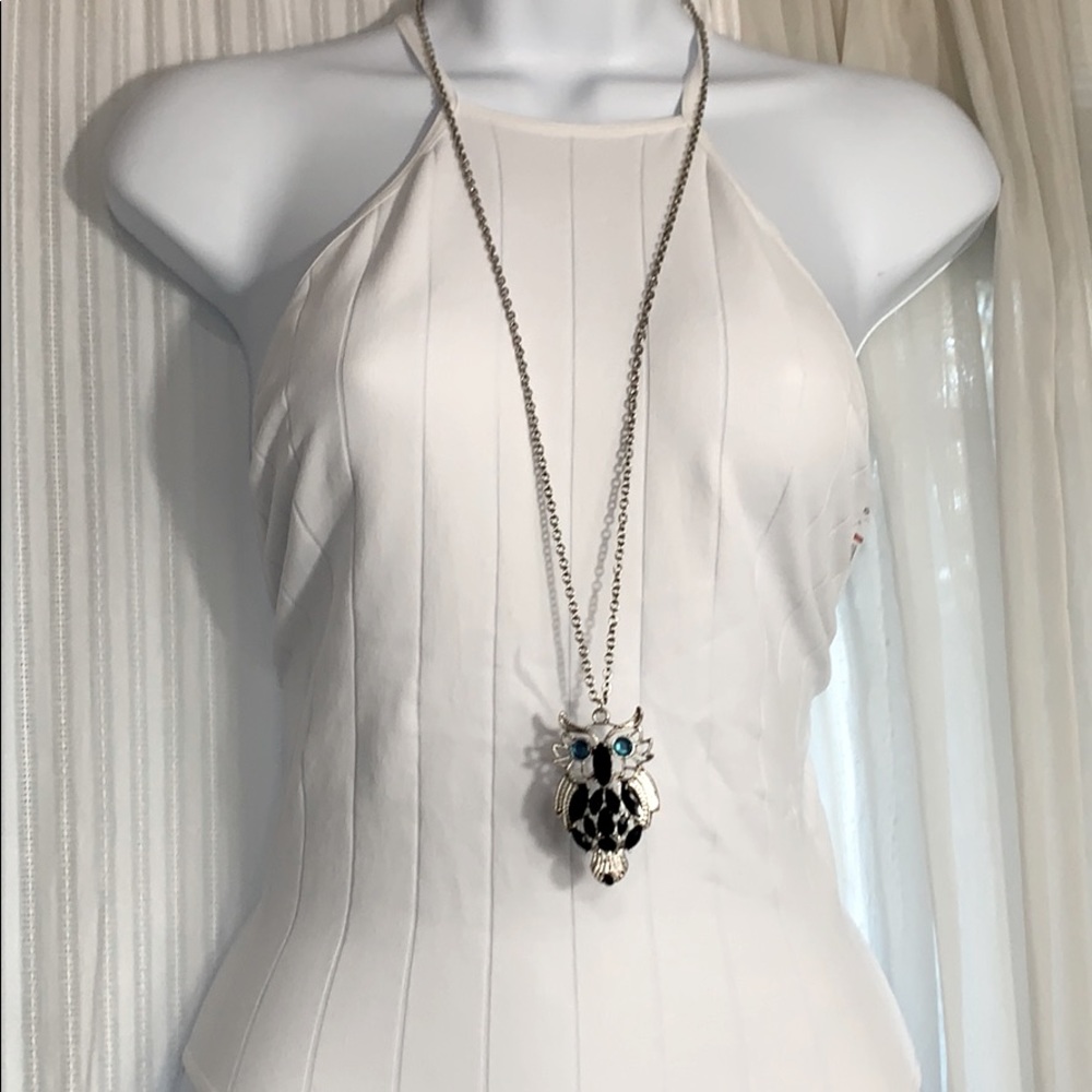 Owl Necklace in Silver/Black with turquoise eyes